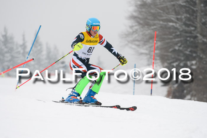 FIS Slalom Damen + Herren 23.02.2018