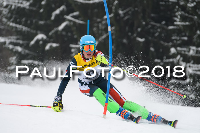 FIS Slalom Damen + Herren 23.02.2018