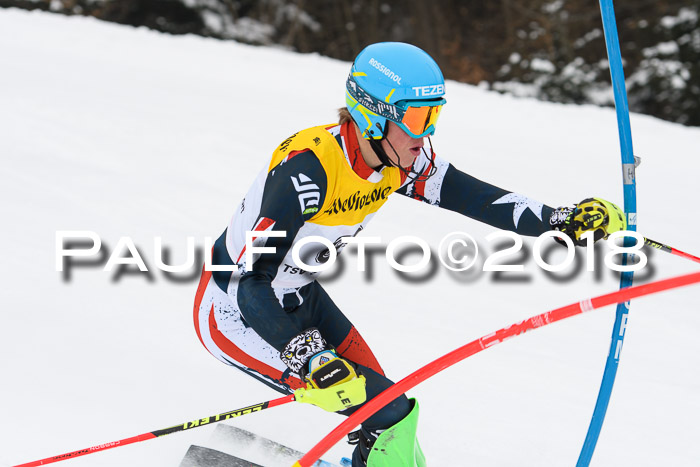 FIS Slalom Damen + Herren 23.02.2018