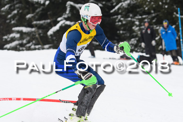 FIS Slalom Damen + Herren 23.02.2018