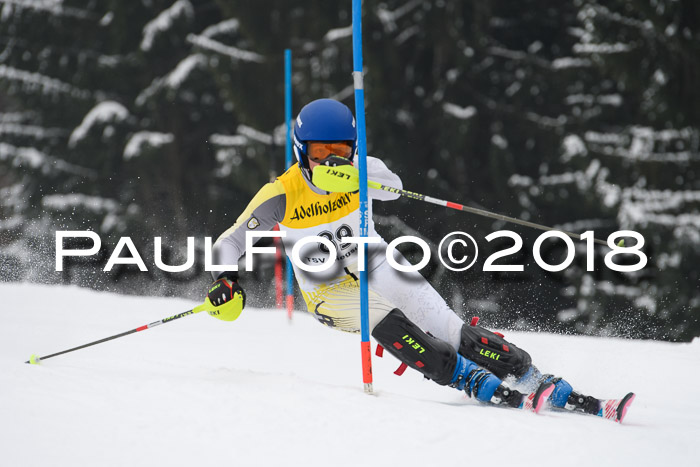 FIS Slalom Damen + Herren 23.02.2018