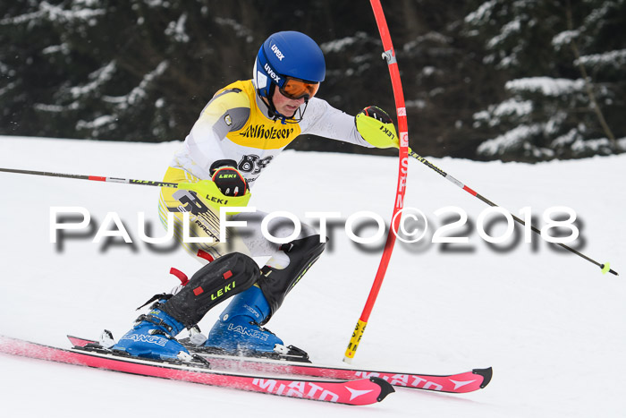 FIS Slalom Damen + Herren 23.02.2018