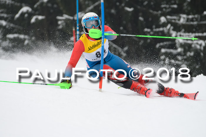 FIS Slalom Damen + Herren 23.02.2018