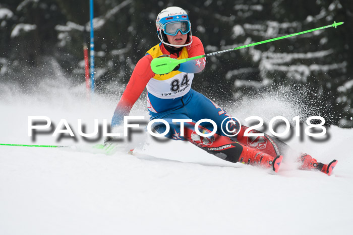 FIS Slalom Damen + Herren 23.02.2018