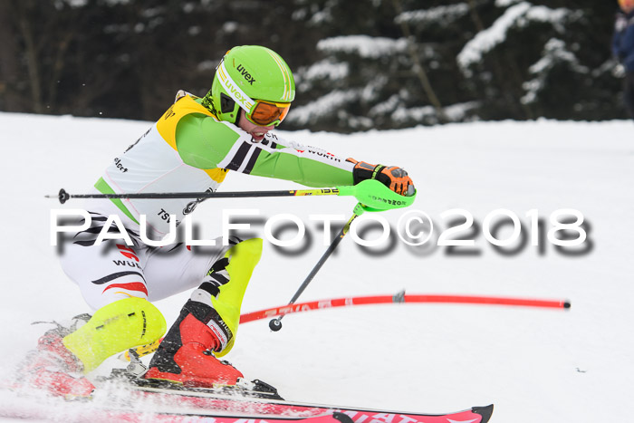 FIS Slalom Damen + Herren 23.02.2018