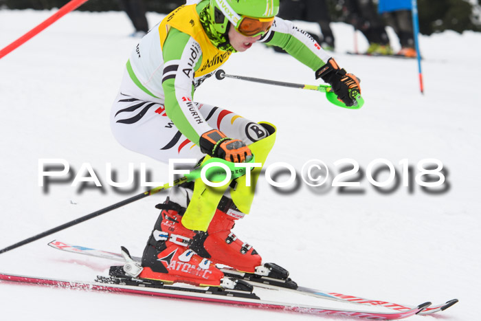 FIS Slalom Damen + Herren 23.02.2018