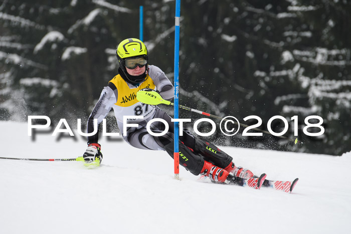 FIS Slalom Damen + Herren 23.02.2018