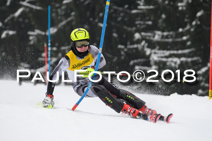 FIS Slalom Damen + Herren 23.02.2018