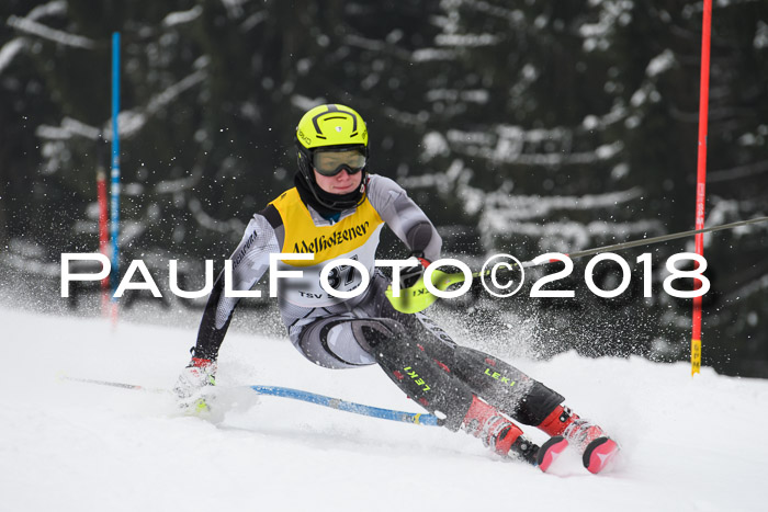 FIS Slalom Damen + Herren 23.02.2018