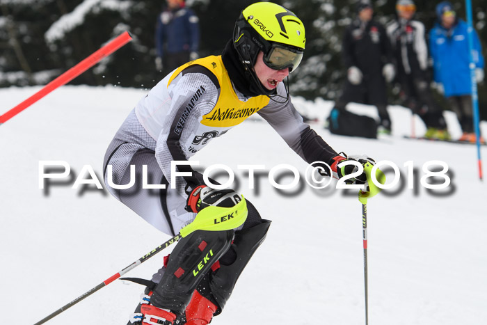 FIS Slalom Damen + Herren 23.02.2018