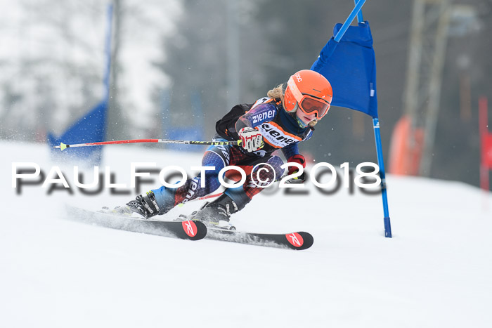 BSV U12 Kids Cross Cup 3 Region 3, 24.02.2018