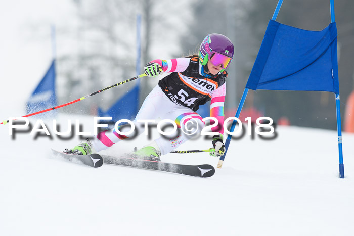 BSV U12 Kids Cross Cup 3 Region 3, 24.02.2018