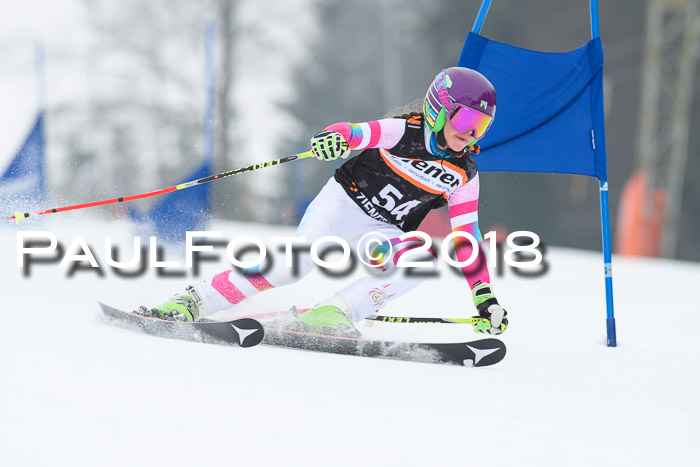 BSV U12 Kids Cross Cup 3 Region 3, 24.02.2018