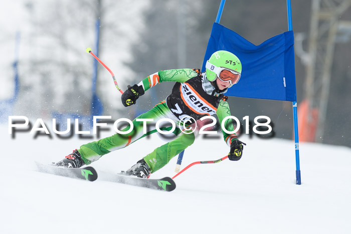 BSV U12 Kids Cross Cup 3 Region 3, 24.02.2018