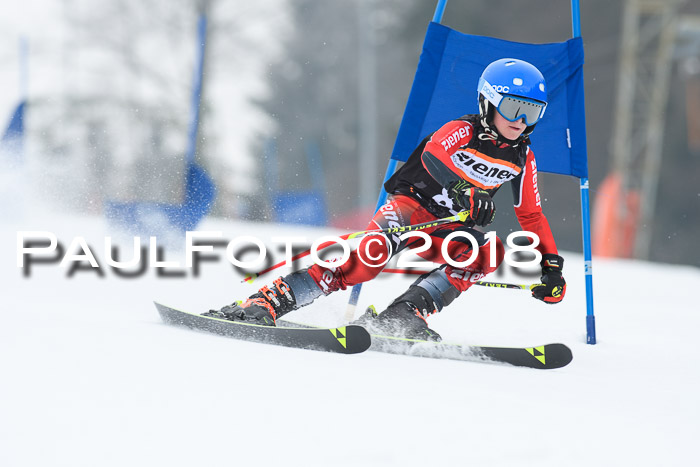 BSV U12 Kids Cross Cup 3 Region 3, 24.02.2018