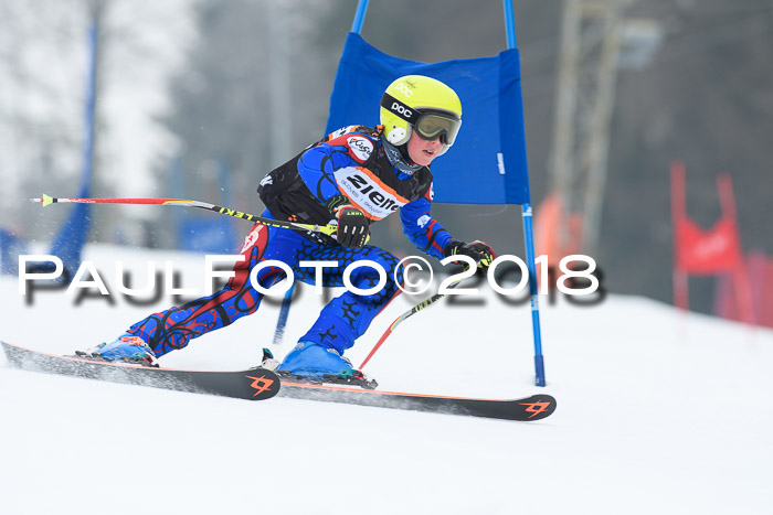 BSV U12 Kids Cross Cup 3 Region 3, 24.02.2018