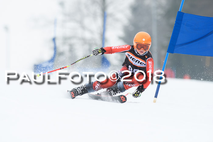 BSV U12 Kids Cross Cup 3 Region 3, 24.02.2018