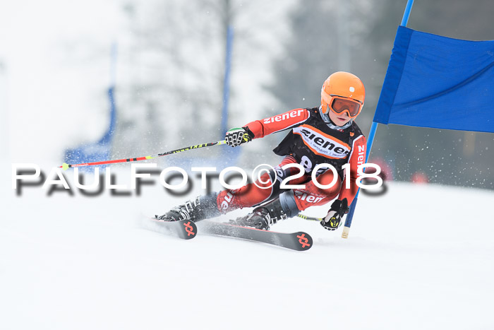 BSV U12 Kids Cross Cup 3 Region 3, 24.02.2018