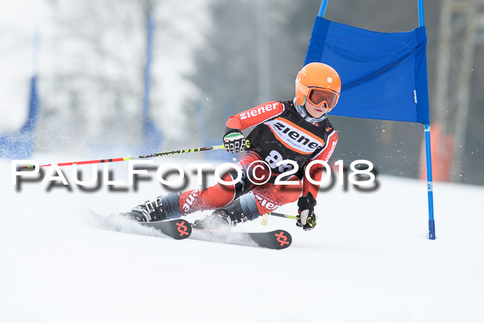 BSV U12 Kids Cross Cup 3 Region 3, 24.02.2018