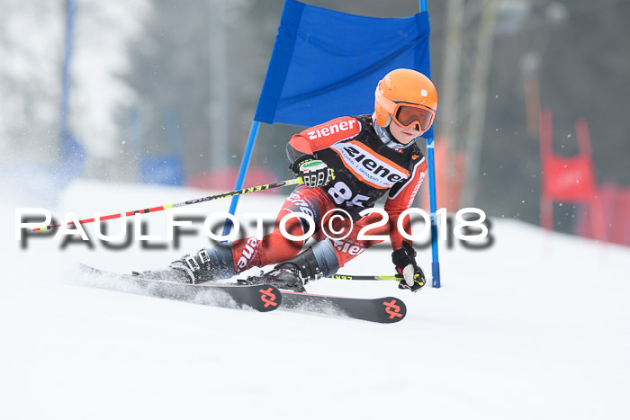 BSV U12 Kids Cross Cup 3 Region 3, 24.02.2018