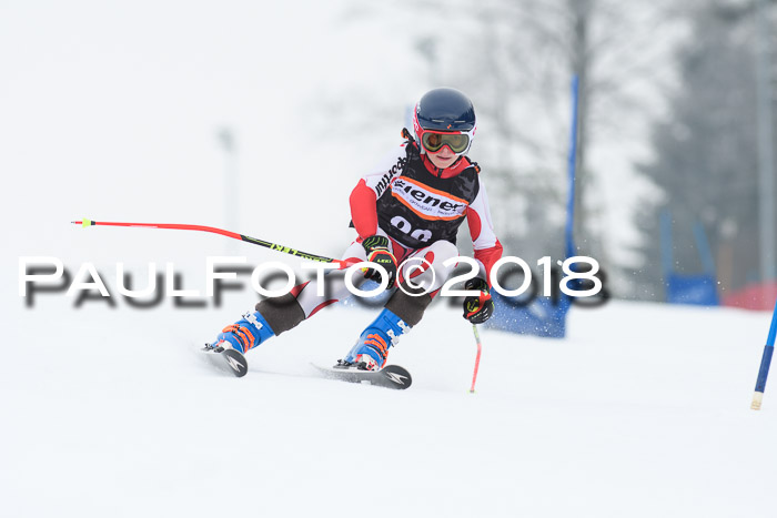 BSV U12 Kids Cross Cup 3 Region 3, 24.02.2018