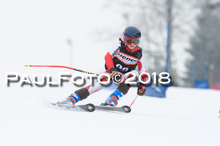 BSV U12 Kids Cross Cup 3 Region 3, 24.02.2018