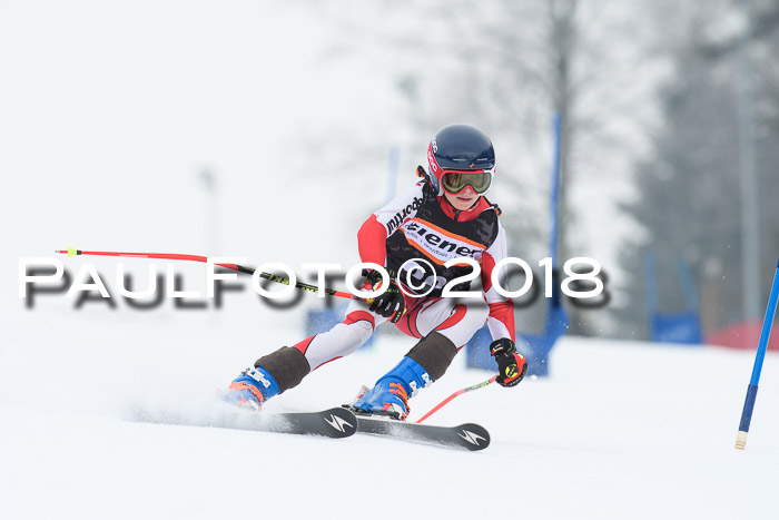 BSV U12 Kids Cross Cup 3 Region 3, 24.02.2018