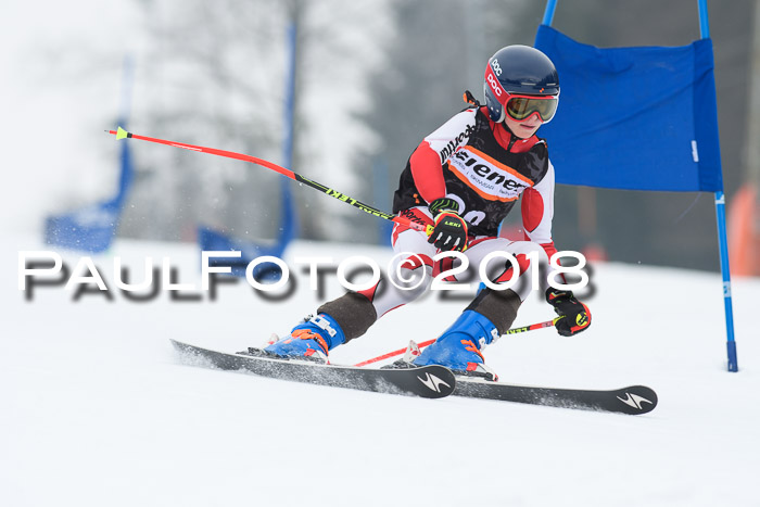 BSV U12 Kids Cross Cup 3 Region 3, 24.02.2018