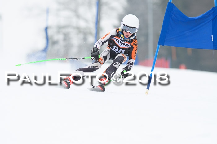 BSV U12 Kids Cross Cup 3 Region 3, 24.02.2018