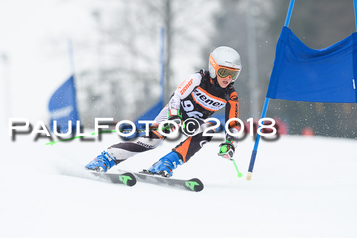 BSV U12 Kids Cross Cup 3 Region 3, 24.02.2018