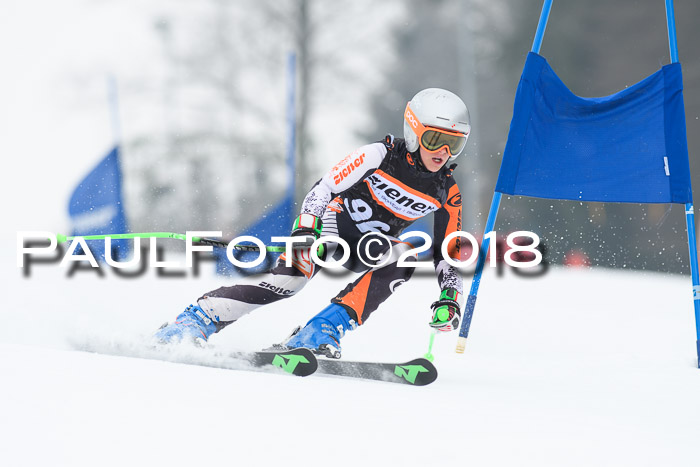 BSV U12 Kids Cross Cup 3 Region 3, 24.02.2018