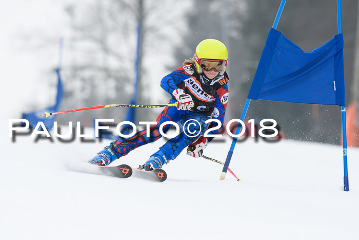 BSV U12 Kids Cross Cup 3 Region 3, 24.02.2018