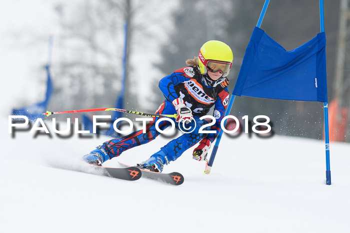 BSV U12 Kids Cross Cup 3 Region 3, 24.02.2018