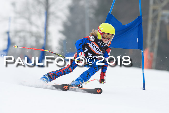 BSV U12 Kids Cross Cup 3 Region 3, 24.02.2018