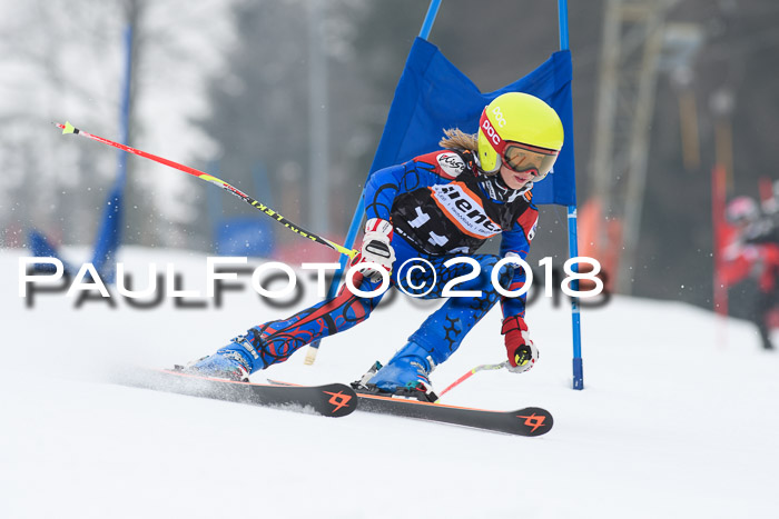 BSV U12 Kids Cross Cup 3 Region 3, 24.02.2018