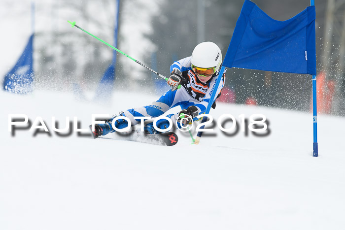 BSV U12 Kids Cross Cup 3 Region 3, 24.02.2018