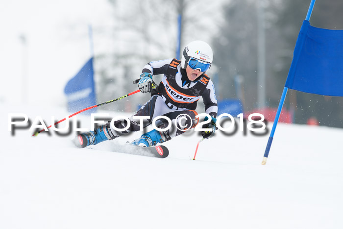 BSV U12 Kids Cross Cup 3 Region 3, 24.02.2018