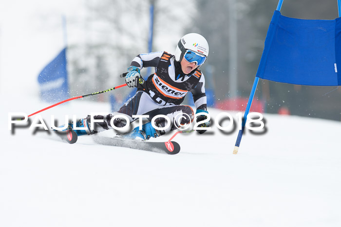 BSV U12 Kids Cross Cup 3 Region 3, 24.02.2018