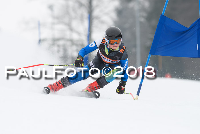 BSV U12 Kids Cross Cup 3 Region 3, 24.02.2018