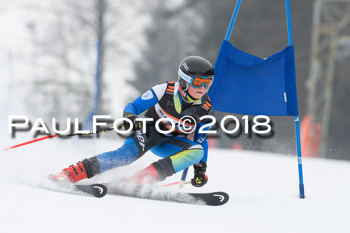 BSV U12 Kids Cross Cup 3 Region 3, 24.02.2018