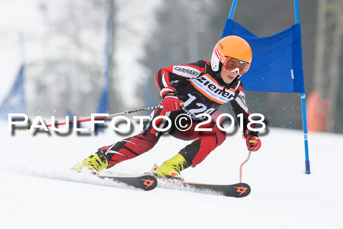 BSV U12 Kids Cross Cup 3 Region 3, 24.02.2018