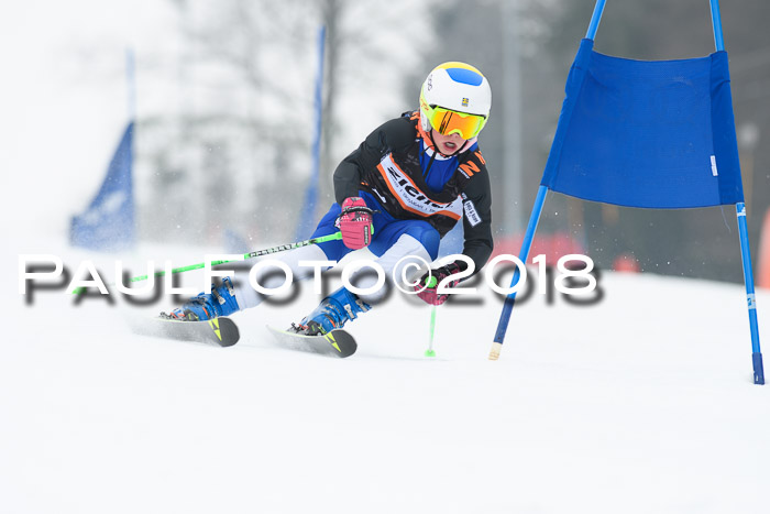 BSV U12 Kids Cross Cup 3 Region 3, 24.02.2018