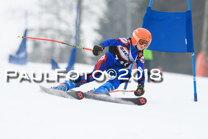 BSV U12 Kids Cross Cup 3 Region 3, 24.02.2018