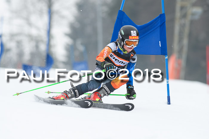 BSV U12 Kids Cross Cup 3 Region 3, 24.02.2018