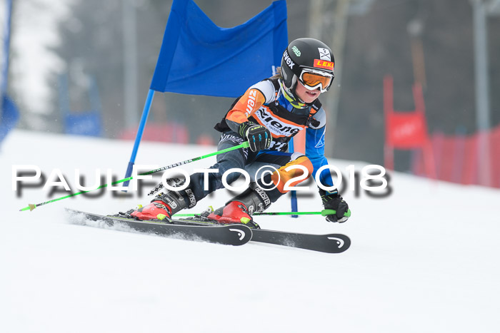 BSV U12 Kids Cross Cup 3 Region 3, 24.02.2018