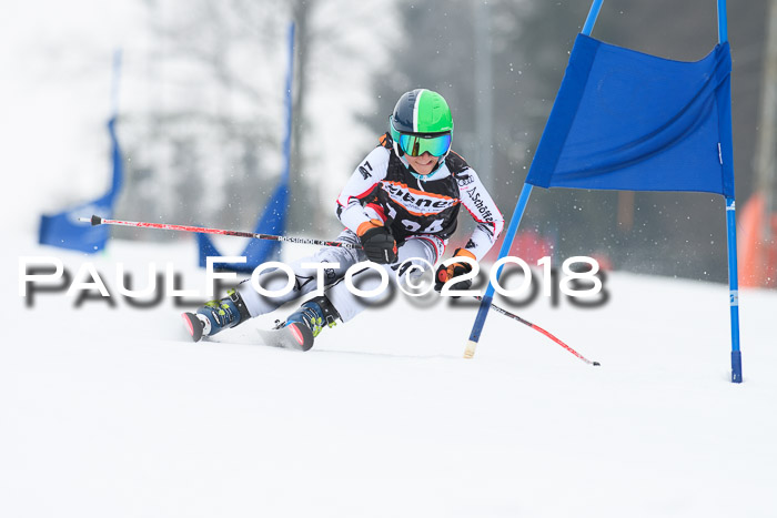 BSV U12 Kids Cross Cup 3 Region 3, 24.02.2018