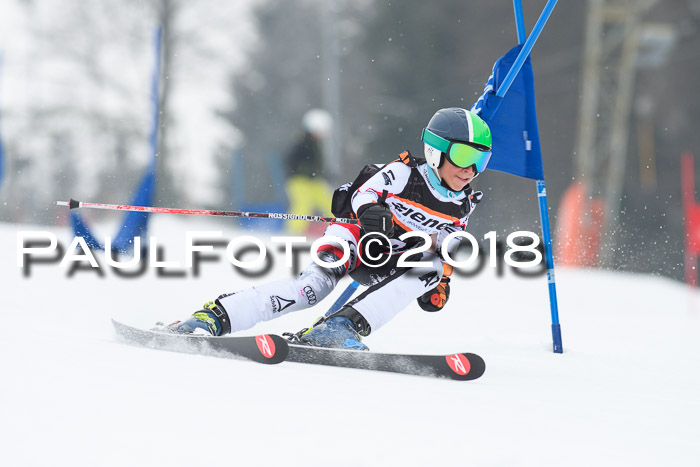 BSV U12 Kids Cross Cup 3 Region 3, 24.02.2018