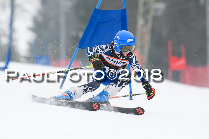 BSV U12 Kids Cross Cup 3 Region 3, 24.02.2018