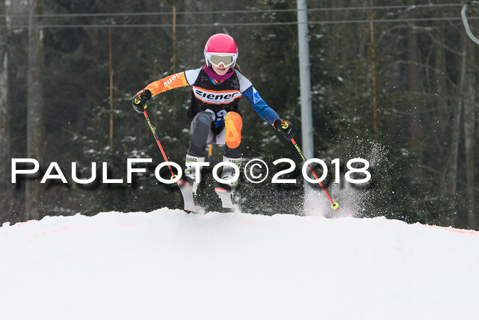 BSV U12 Kids Cross Cup 3 Region 3, 24.02.2018