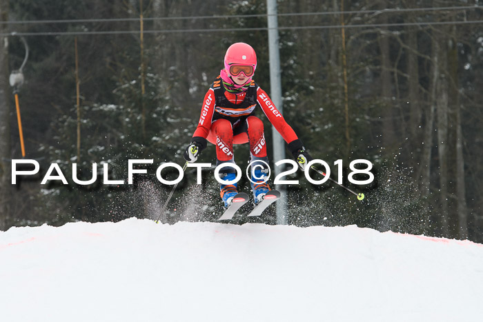 BSV U12 Kids Cross Cup 3 Region 3, 24.02.2018